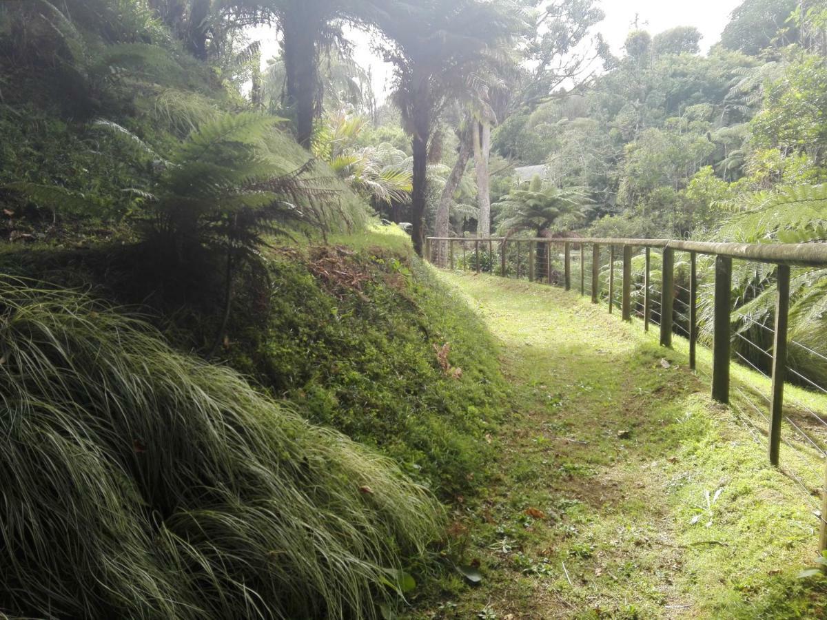 Apartmán Taranaki Experience New Plymouth Exteriér fotografie