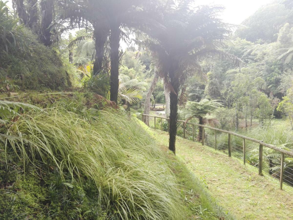 Apartmán Taranaki Experience New Plymouth Exteriér fotografie